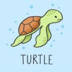 turtle1221